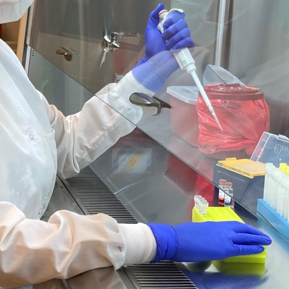 Primate Assay Lab