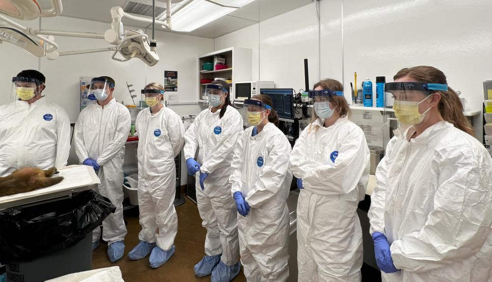 UC Davis Veterinary Medicine Students