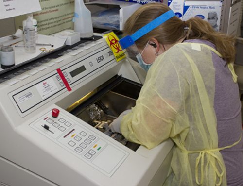 Scientist preparing samples