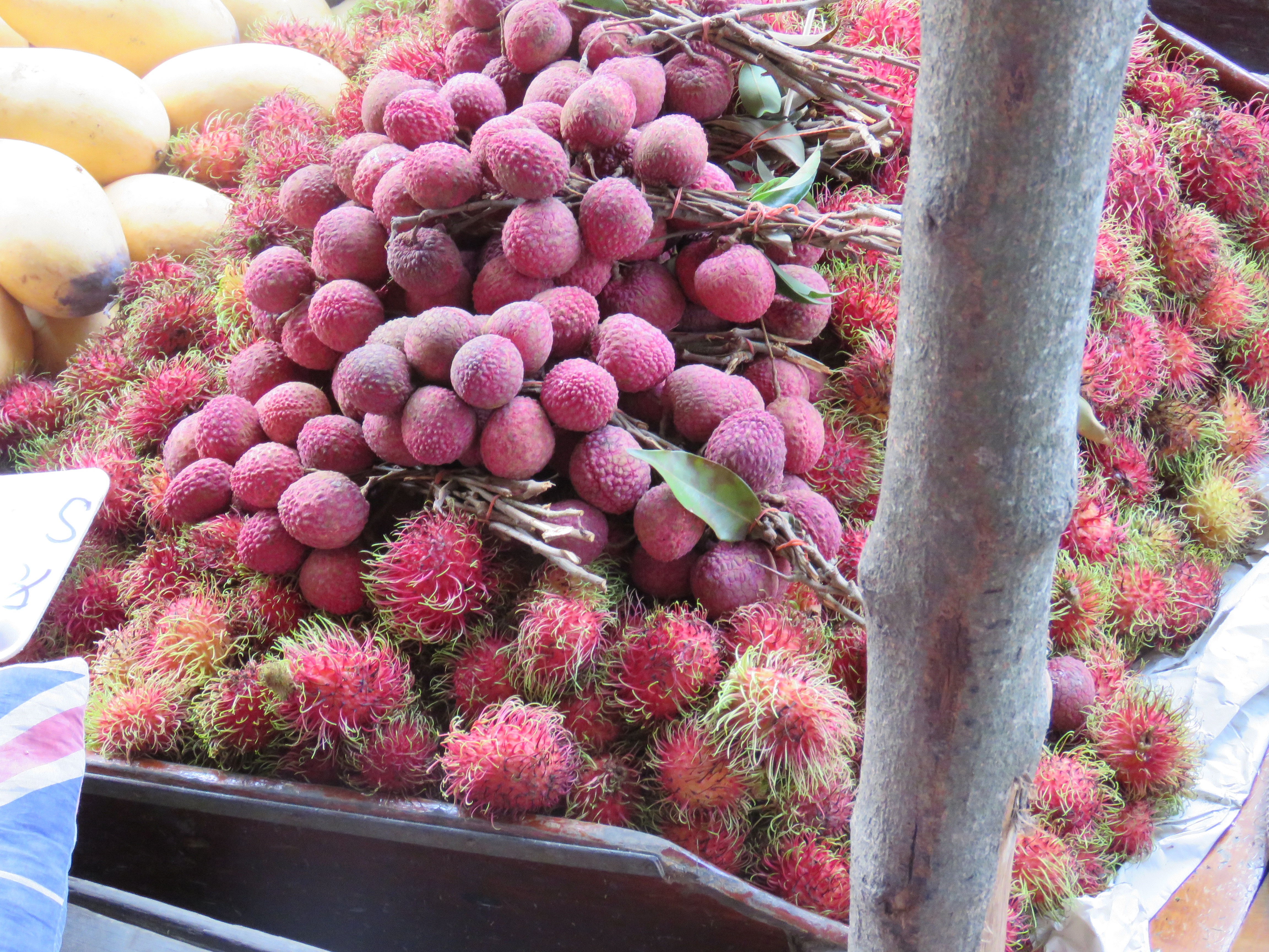 Tropical fruit: lychee, rambutan