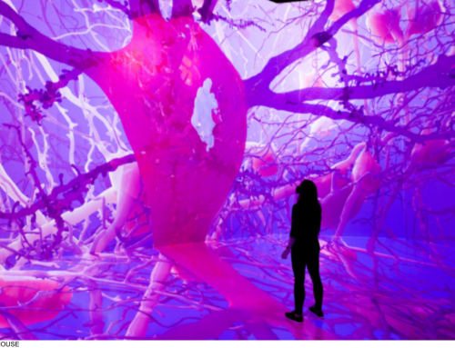 ‘Life of a Neuron’: A Collaboration Between Scientists and Artists