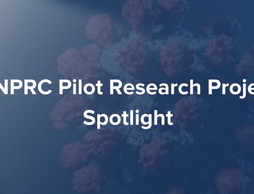 CNPRC Pilot Research Project Spotlight: The Impact of Age on COVID Response 